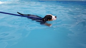 Swimming lessons!