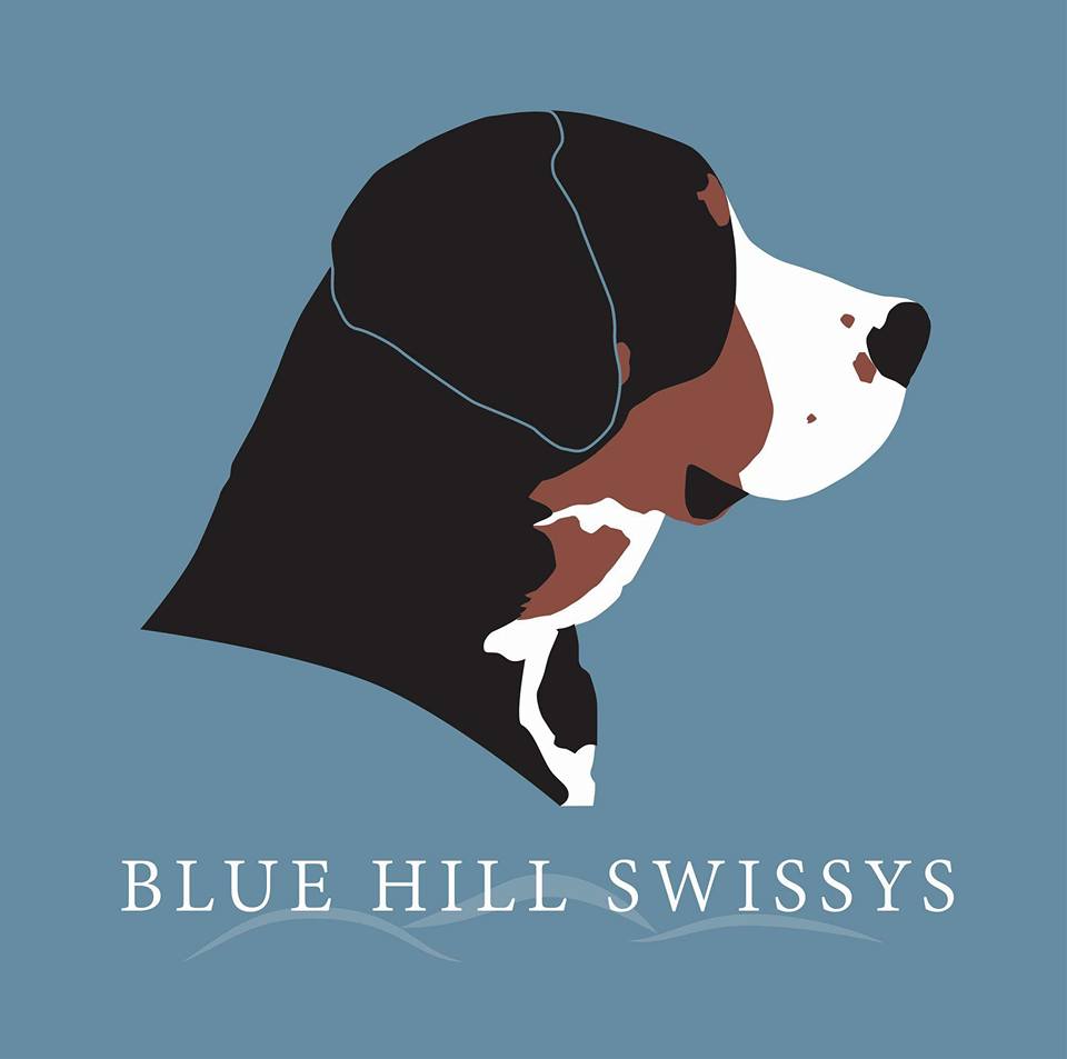 Blue best sale hill swissys